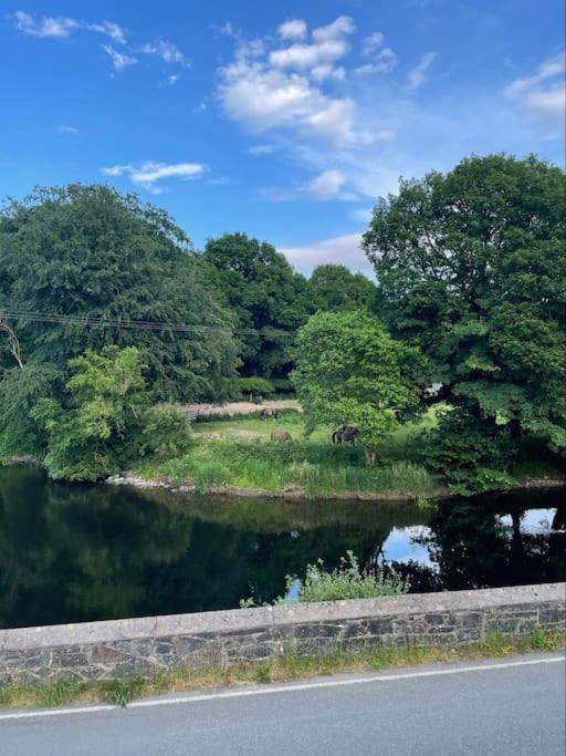 Riverside Retreat Llandysul المظهر الخارجي الصورة