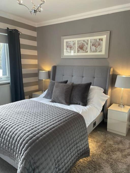 Riverside Retreat Llandysul المظهر الخارجي الصورة
