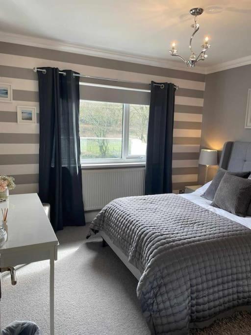 Riverside Retreat Llandysul المظهر الخارجي الصورة