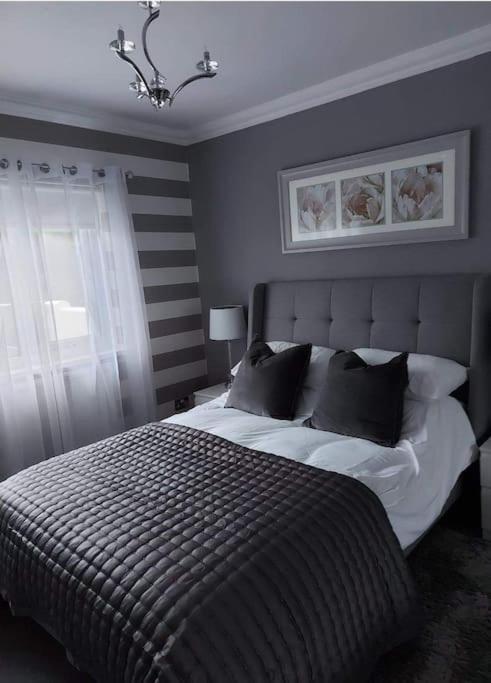 Riverside Retreat Llandysul المظهر الخارجي الصورة